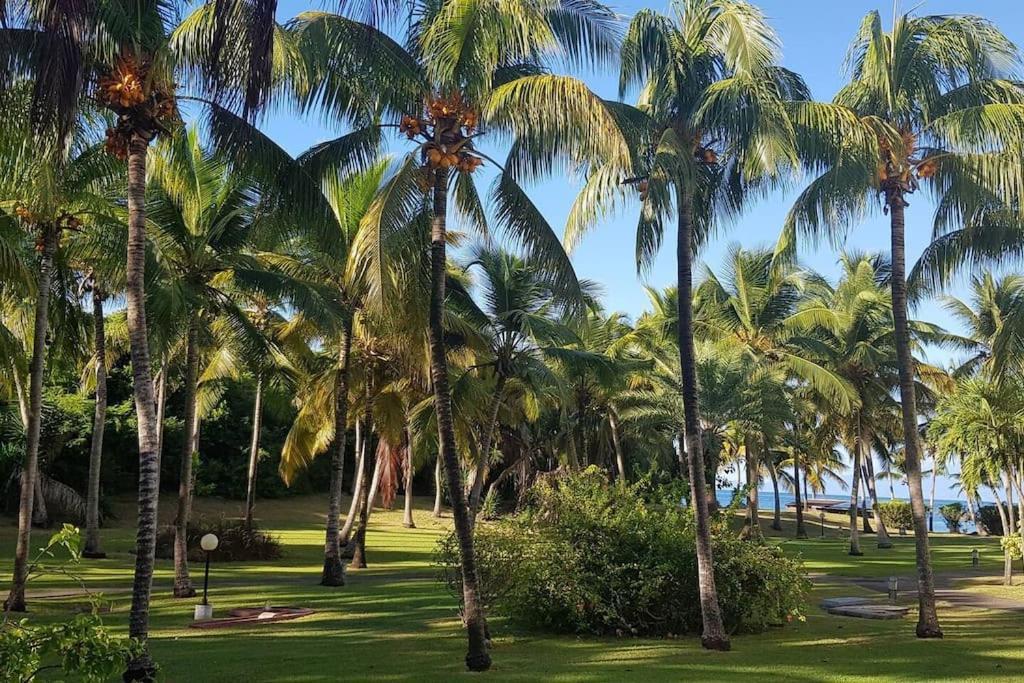 Karibeko : Exceptionnel & Rare : Plage , Piscine, Wifi Prive Saint-Francois  Eksteriør bilde