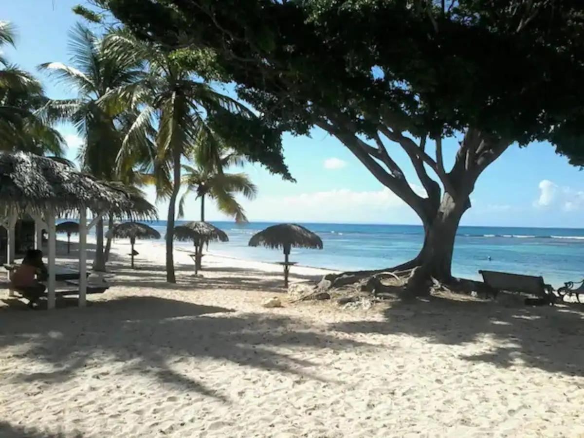 Karibeko : Exceptionnel & Rare : Plage , Piscine, Wifi Prive Saint-Francois  Eksteriør bilde